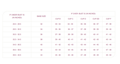 Amante Smooth Charm Non Wired Bra - Skipper Blue