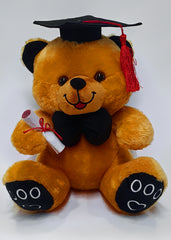 Graduation Gift Teddy Bear