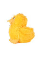 Soft Plush Duck Toy