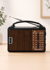 Bright 4 Bands Radio - BR4020