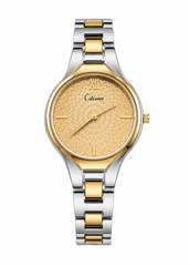 Citisan Ladies Two-Tone Analog Watch