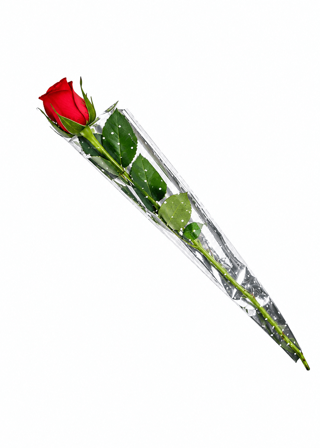 Wrapped Artificial Red Rose Single Pcs
