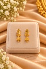 Elegant Gold-Tone  Earrings