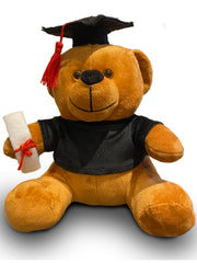 Graduation Gift Teddy Bear - Small