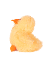 Soft Plush Duck Toy
