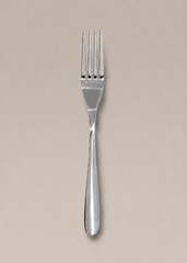 Premium Stainless Steel Dinner Fork