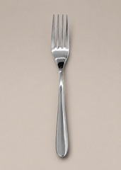Premium Stainless Steel Dinner Fork