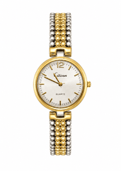 Citisan Ladies Elegant Two-Tone Quartz Watch