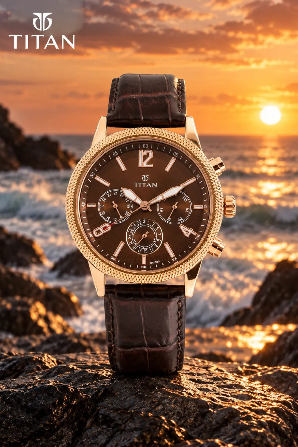 Titan Men's Watch - NT173WL01